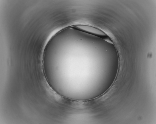 X0000090421248200707272104