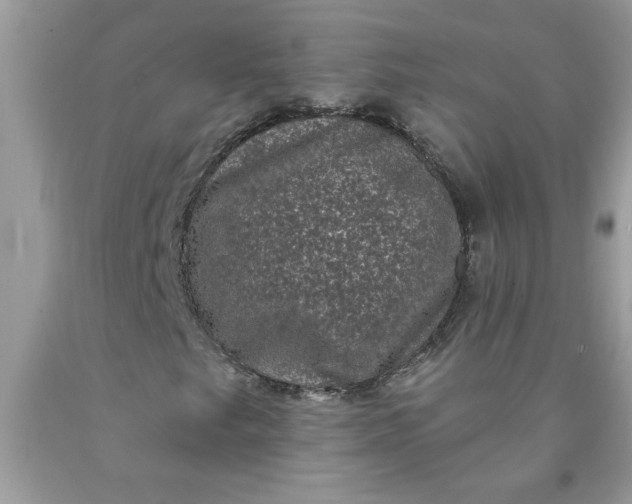 X0000090421249200707272103