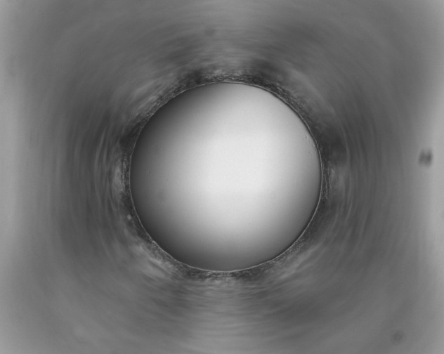 X0000090421250200707272103