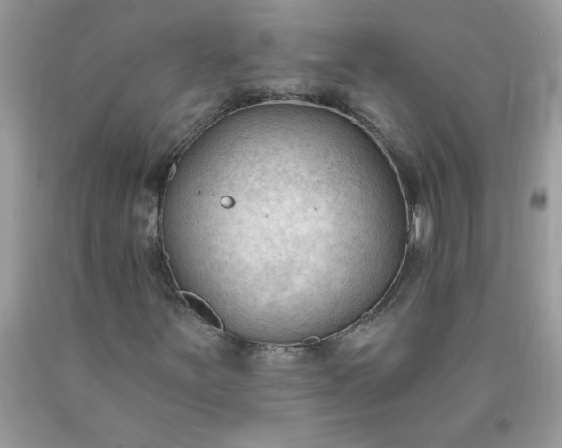 X0000090421251200707272103