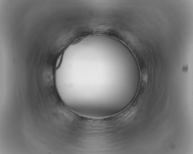 X0000090421252200707272103