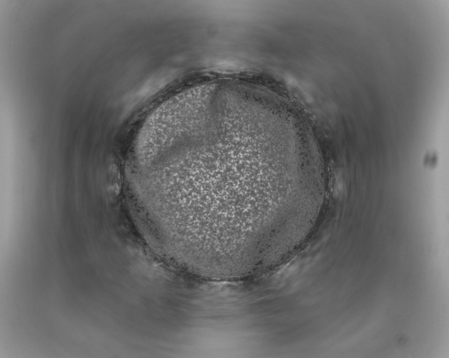 X0000090421253200707272103