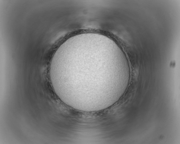 X0000090421254200707272103