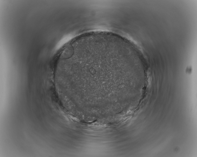 X0000090421255200707272103