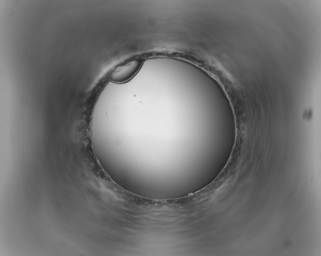 X0000090421256200707272103