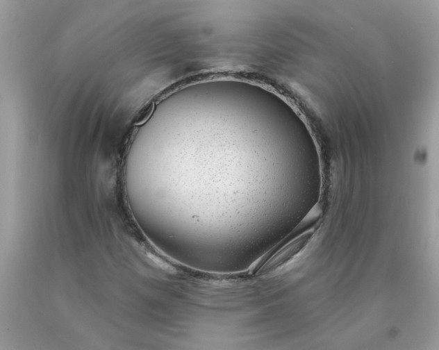 X0000090421257200707272103