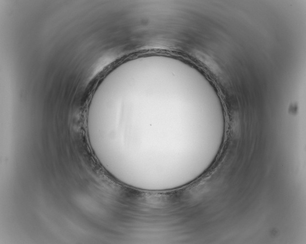 X0000090421258200707272103