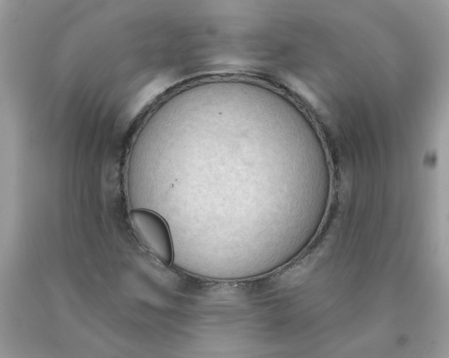 X0000090421259200707272103