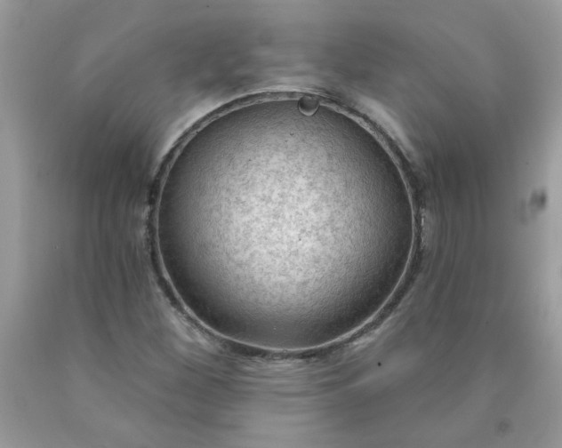 X0000090421260200707272103