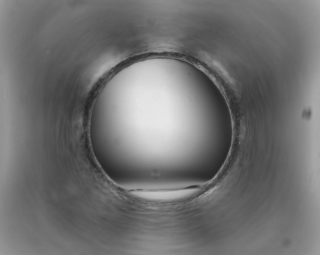 X0000090421261200707272103