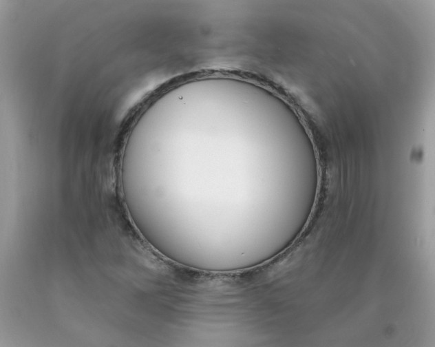 X0000090421262200707272103