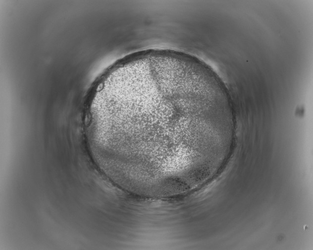 X0000090421263200707272103