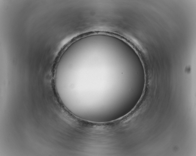 X0000090421264200707272103