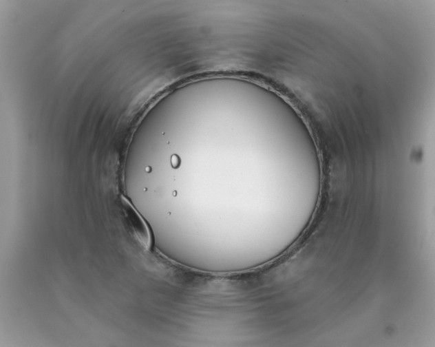 X0000090421265200707272103