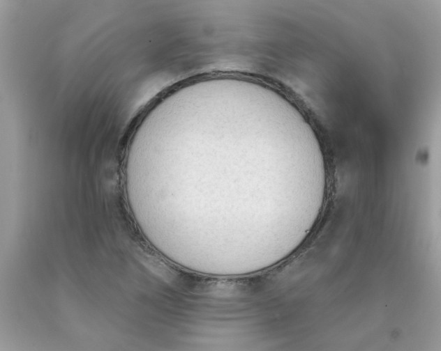 X0000090421266200707272103