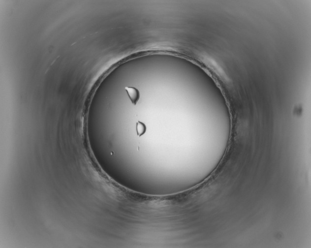 X0000090421268200707272103