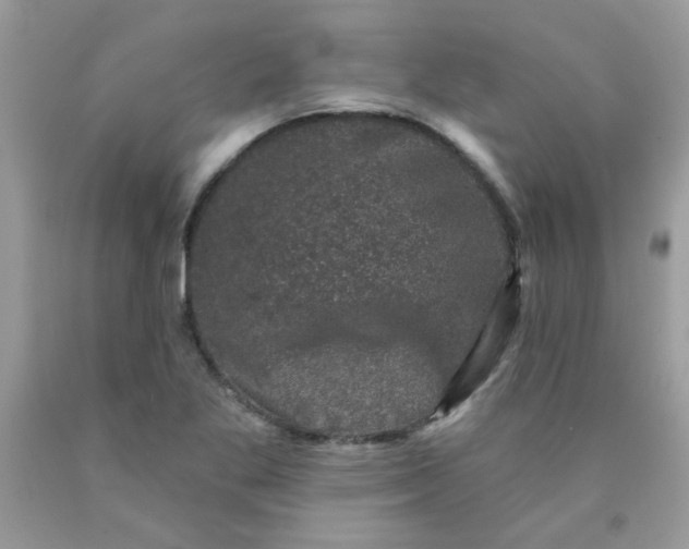 X0000090421269200707272103