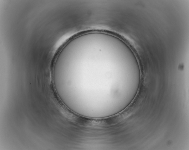 X0000090421271200707272103