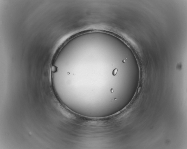 X0000090421272200707272103