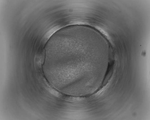 X0000090421273200707272103