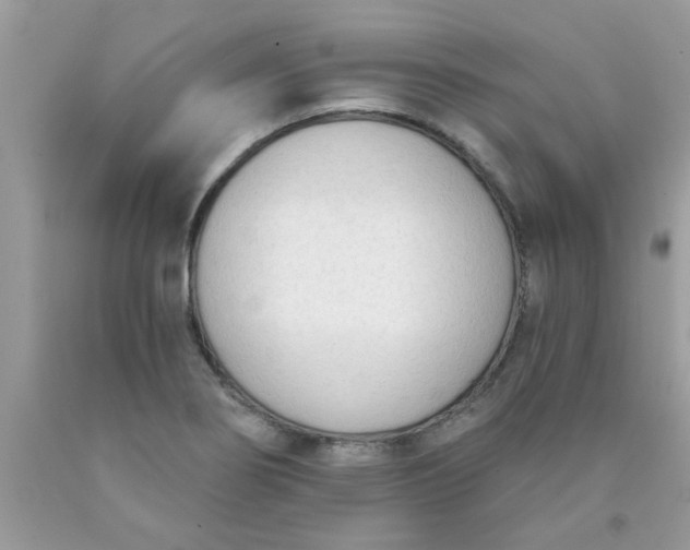 X0000090421274200707272103