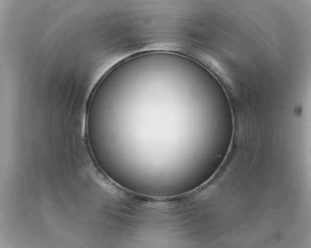 X0000090421276200707272103