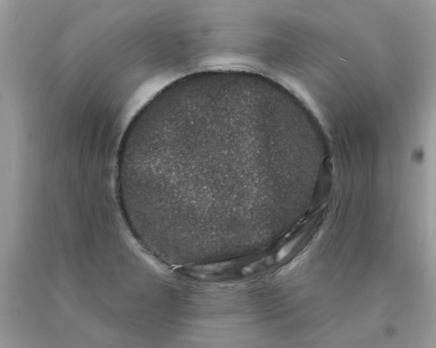 X0000090421277200707272103