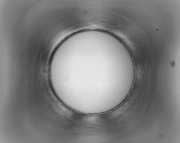 X0000090421278200707272103