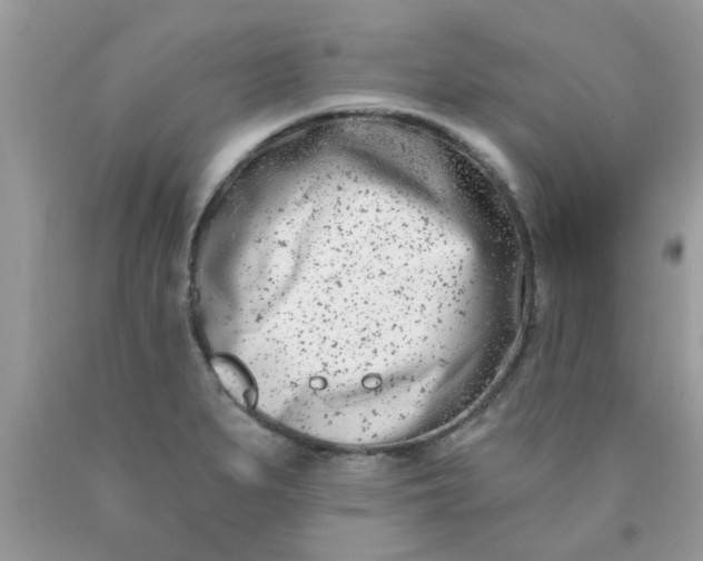 X0000090421279200707272103