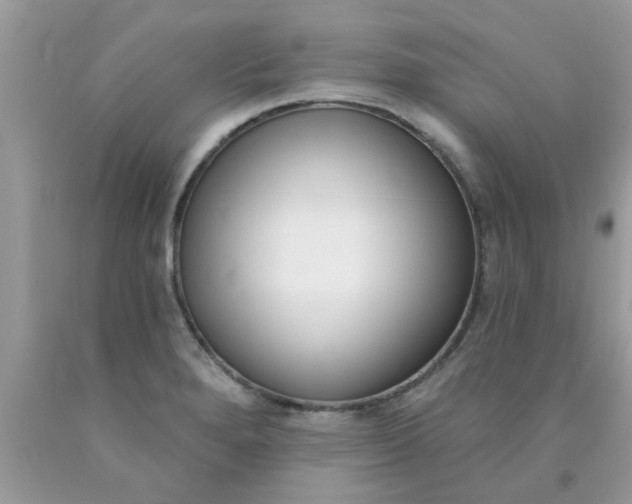 X0000090421280200707272103