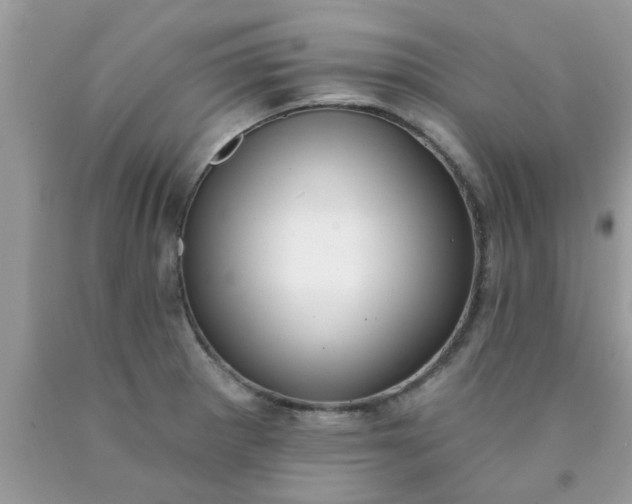 X0000090421281200707272103