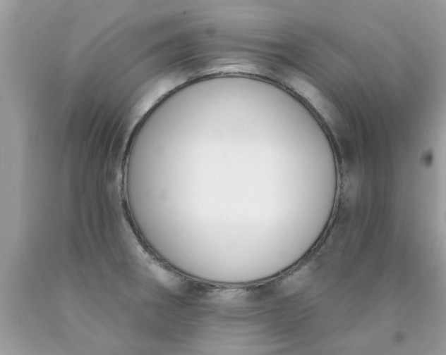 X0000090421282200707272103