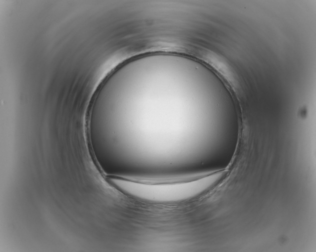 X0000090421283200707272103