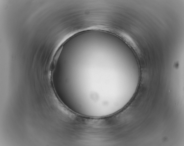 X0000090421284200707272103