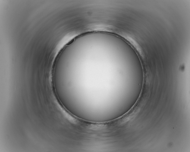 X0000090421285200707272103