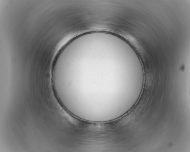 X0000090421286200707272103