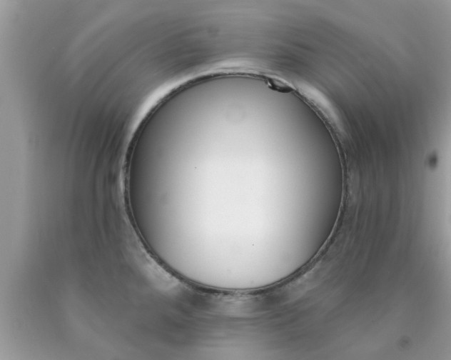 X0000090421288200707272103