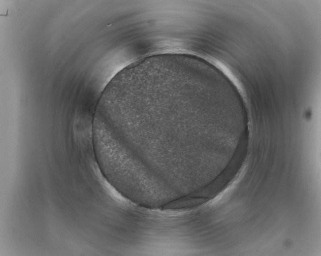 X0000090421289200707272103