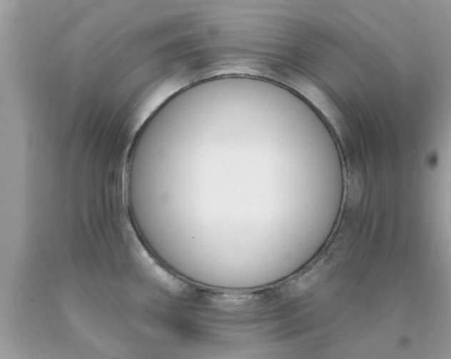 X0000090421290200707272103