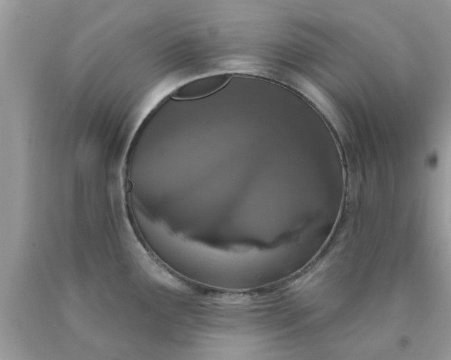 X0000090421291200707272102