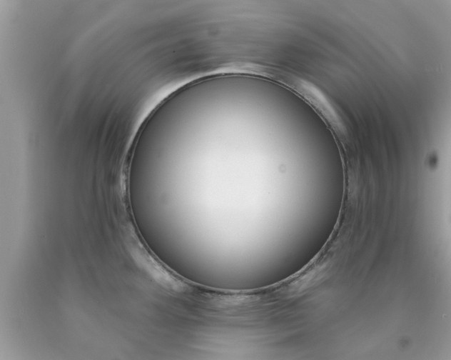 X0000090421292200707272102