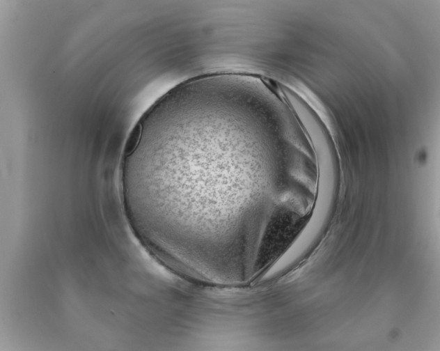 X0000090421293200707272102