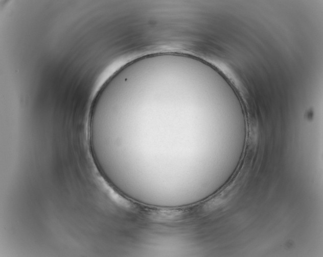 X0000090421294200707272102