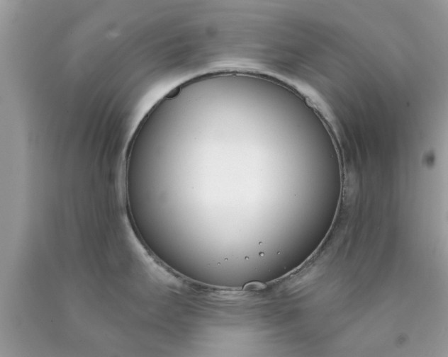 X0000090421295200707272102