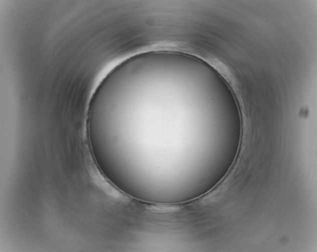 X0000090421296200707272102