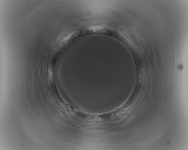 X0000090421298200707272102