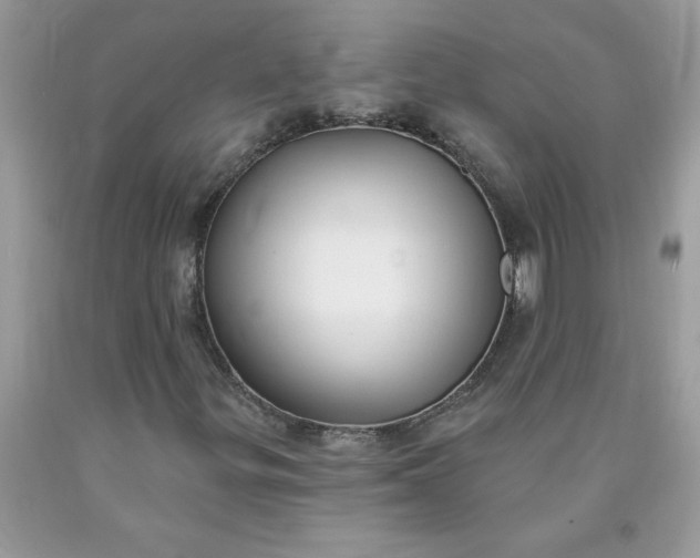 X0000090421299200707272102