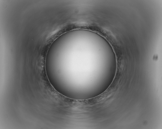 X0000090421301200707272102