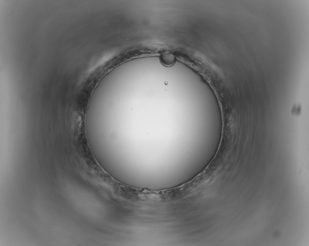 X0000090421302200707272102