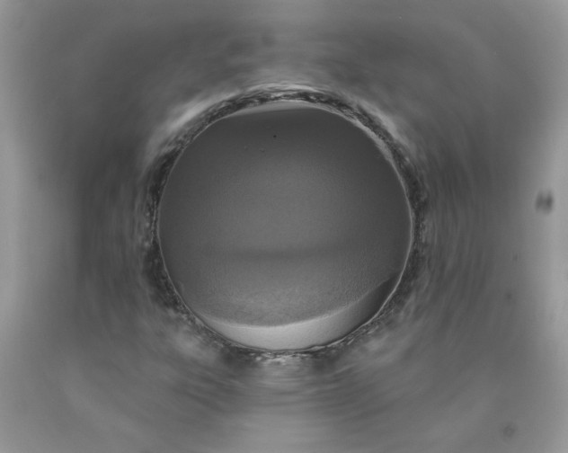 X0000090421303200707272102